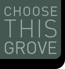 Choose this grove