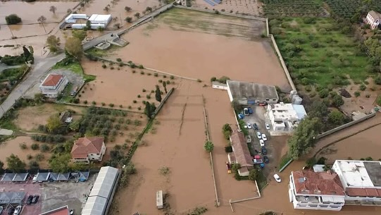 Manaki Gold ekologisk olivolja